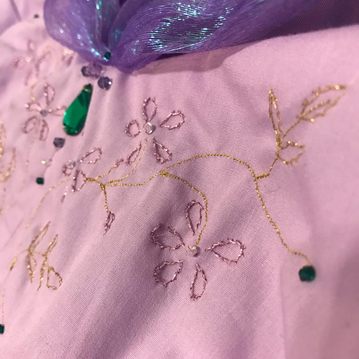 embroidery detail casual disney dress